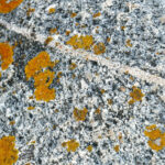Ubrudzony granit