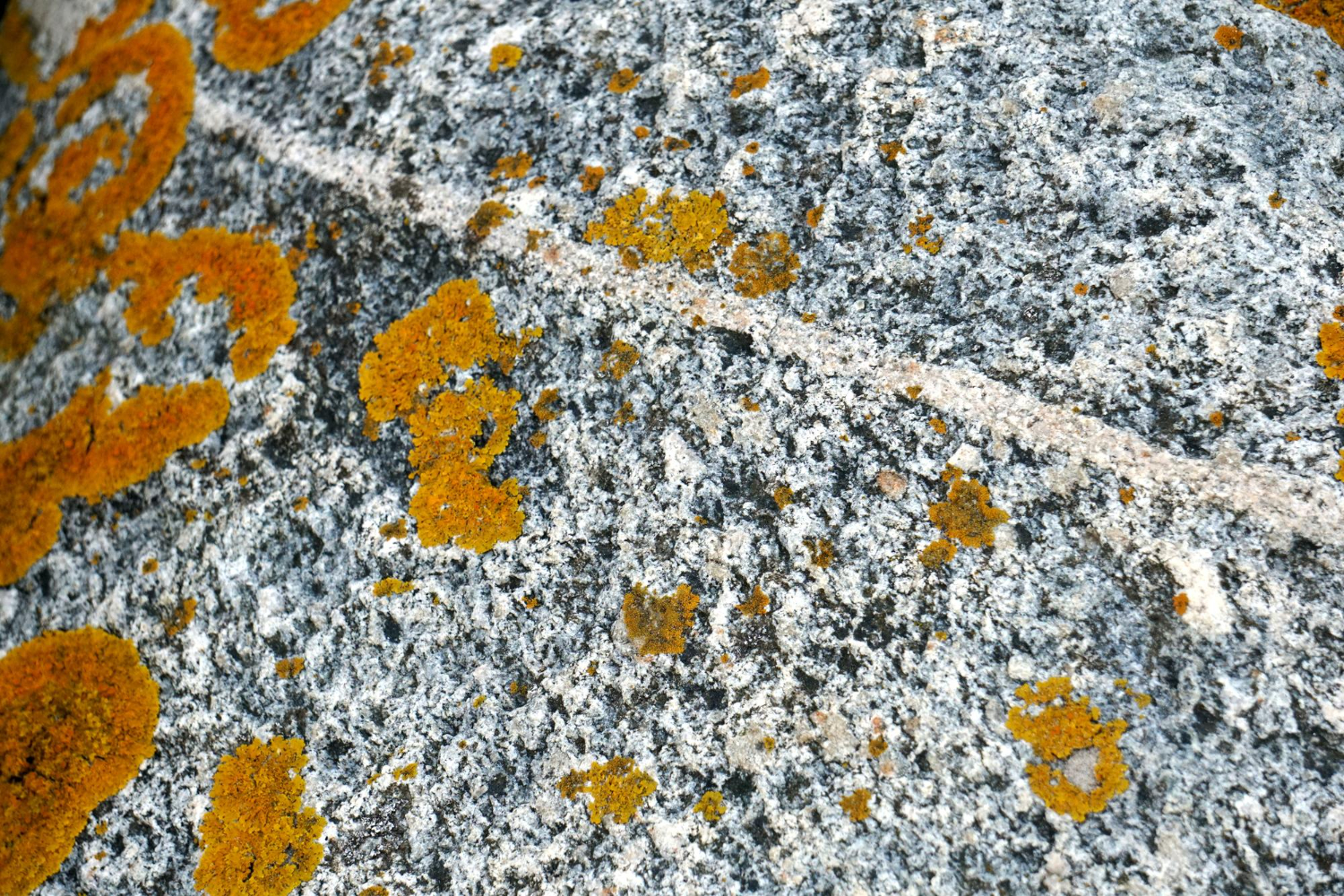 Ubrudzony granit